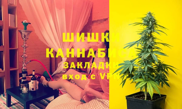 ГАЛЛЮЦИНОГЕННЫЕ ГРИБЫ Алзамай