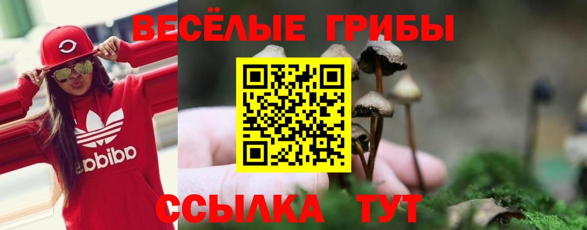 Псилоцибиновые грибы Cubensis Чебоксары